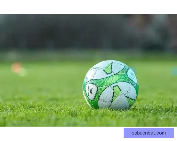 世界杯足球竞猜盘口分析与投注策略全面解析助您精准预测赛事结果